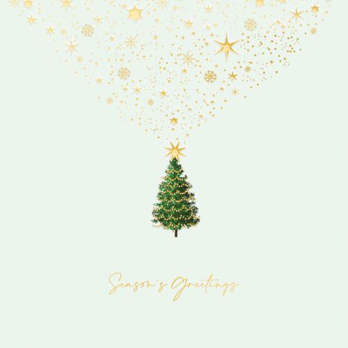 Buy 6ft Natural Look Pop Up Slim Christmas Tree | Christmas Trees - View #10